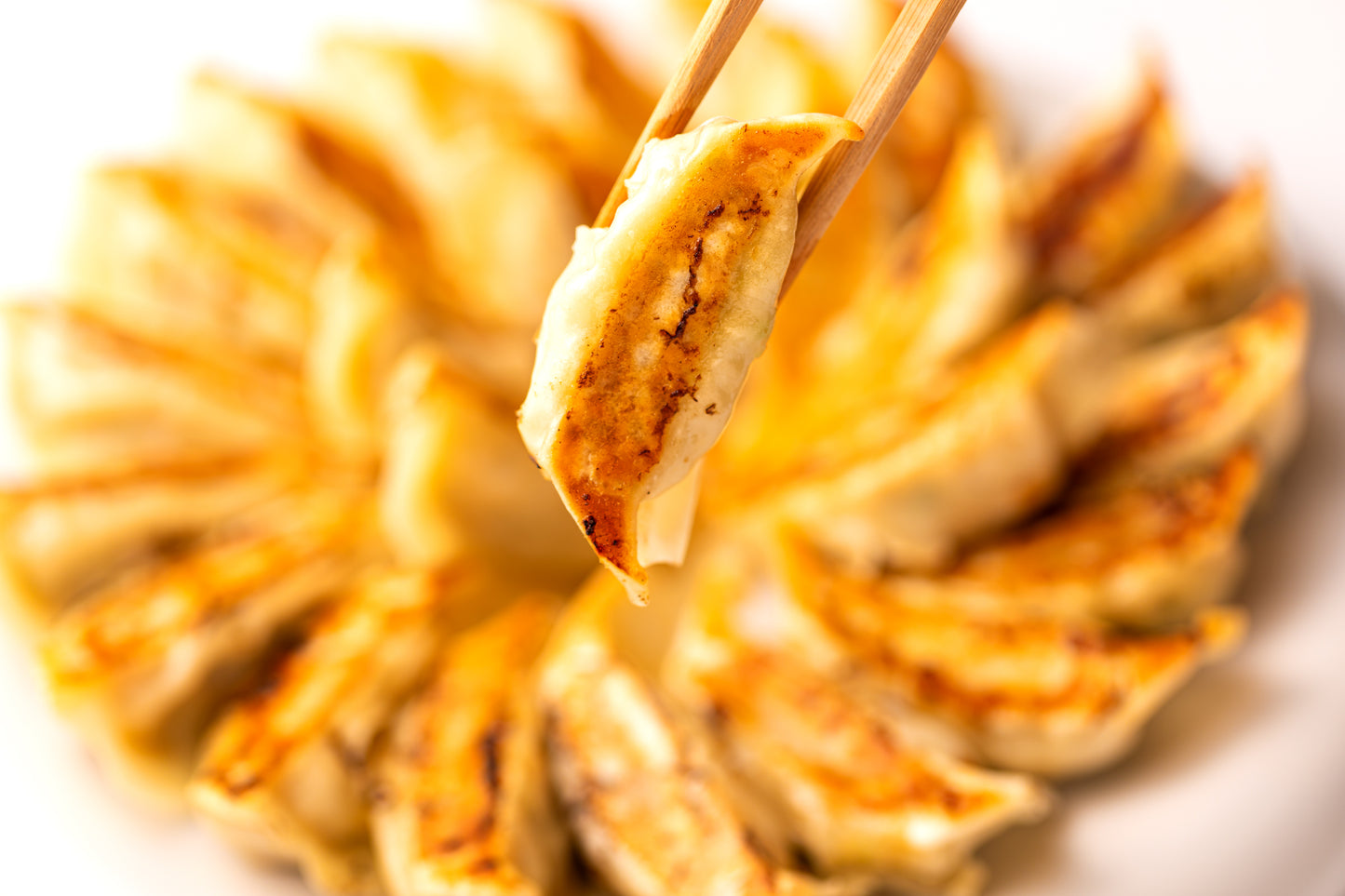 【送料無料の超超超お得!!】王道黒豚餃子の大容量セット 200個