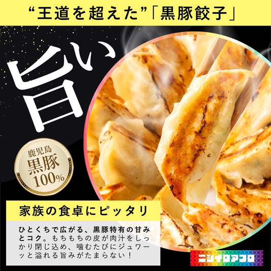 【送料無料の超超超お得！！】王道黒豚餃子の大容量セット 200個